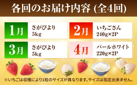 【先行予約 2027年1月～発送】【4回定期便】いちごとお米の贅沢定期便(2)  いちご IBG020