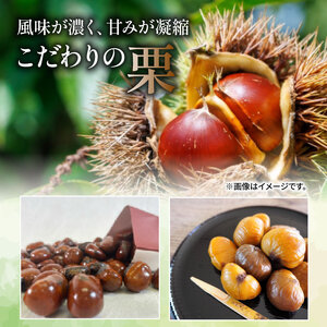 【ふるなびWEEK対象】天津甘栗 1.5kg 京都 【甘栗】