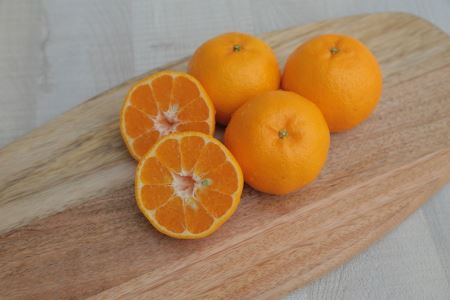 S040-005A_農家の手摘み 太田 ポンカン 5kg〈先行受付〉/ ポンカン ぽんかん 柑橘 みかん フルーツ