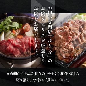 和牛【共通返礼品】やまぐち和牛 燦 切り落とし 400g BH0101 