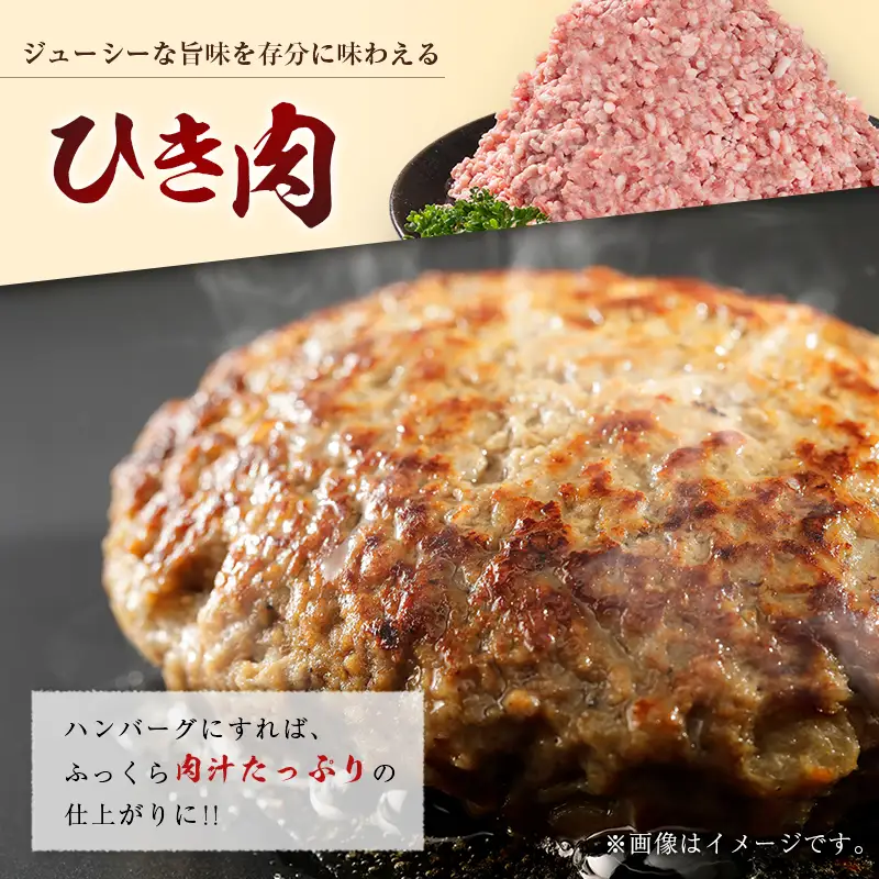 宮崎県産ポーク ひき肉 セット 計2.5kg（250g×10パック）国産 豚肉 ミンチ 挽き肉 小分け