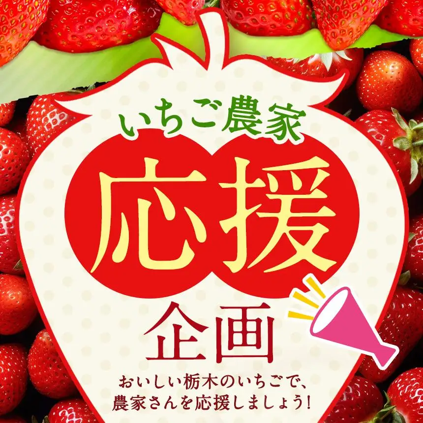 いちご 訳あり サイズランダム とちあいか2kg以上【2027年先行予約】 | 苺 イチゴ 栃木県共通返礼品 真岡市産 栃木県矢板市