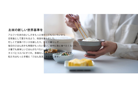 パックご飯 炊かなくていいお米 白飯(360g×2袋) [ANBF016] パックご飯