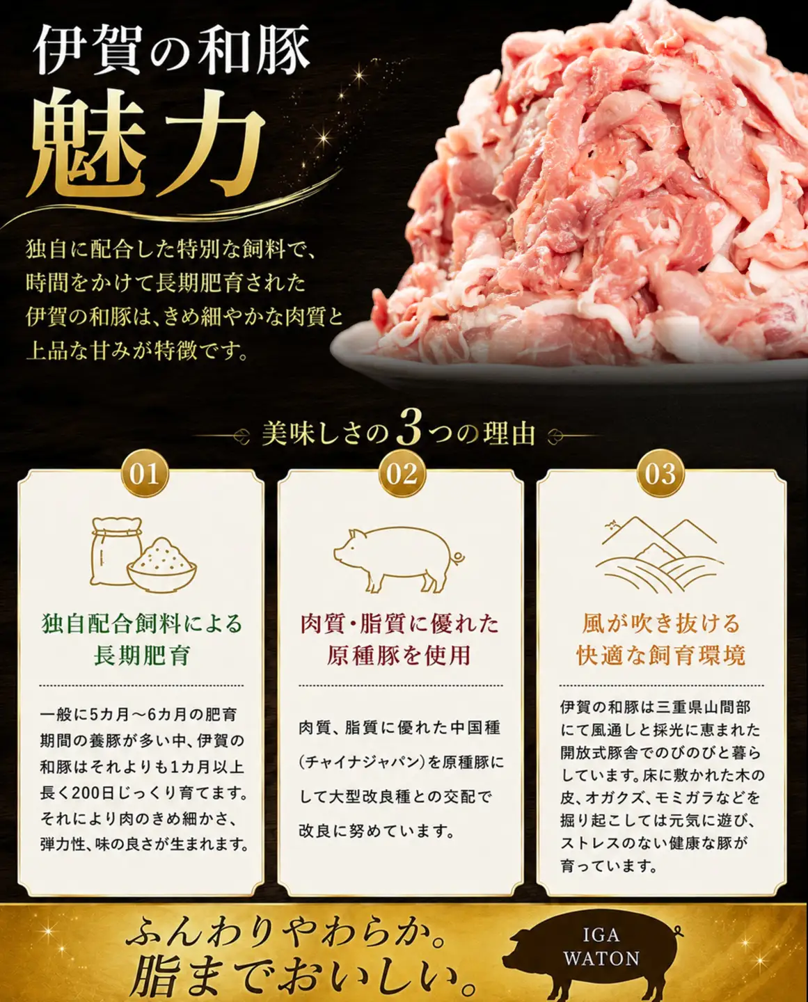 豚肉〈訳あり・小分け〉和豚切り落とし（250g×12袋 計3kg）豚肉 [BW105-2511]
