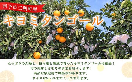 先行予約 ＜とびっきりの愛媛 キヨミタンゴール 約2kg（家庭用大小混合）＞ 訳あり 家庭用 果物 柑橘 フルーツ みかん 蜜柑 オレンジ 清見タンゴール 特産品 片山果樹園 食べて応援 西宇和 愛媛県 西予市【常温】『2027年3月中旬～3月下旬迄に順次出荷予定』MKK0010