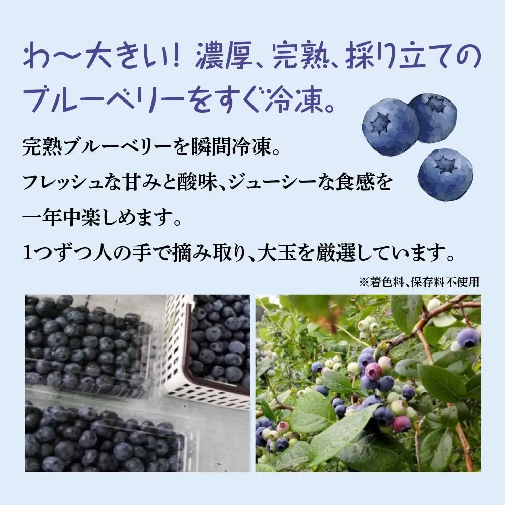 【令和8年度産】減農薬＜そのまま食べられる＞冷凍ブルーベリー（300ｇ）2袋セット　【02402-0431】