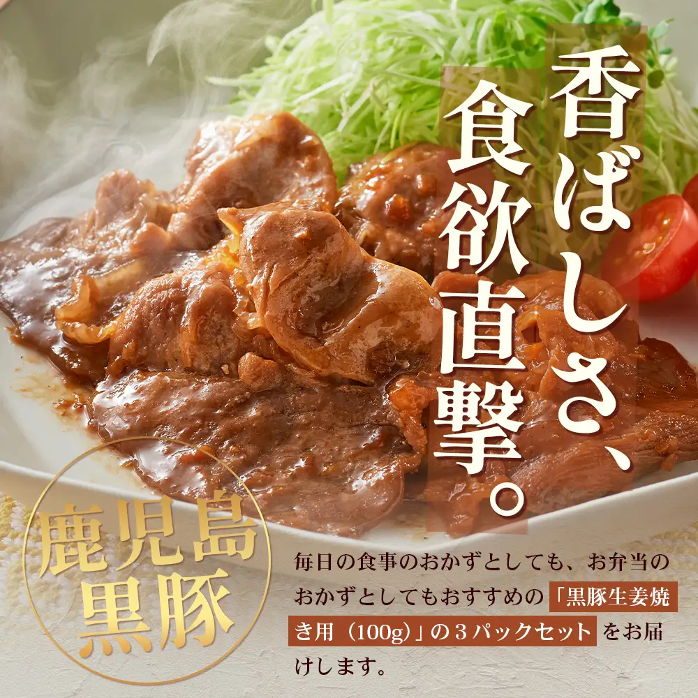 鹿児島県産 黒豚生姜焼きセット（100g×3パック）味付き肉 冷凍 NS-21 | 鹿児島 黒豚 かごしま黒豚 お肉 肉 豚肉 しょうが焼き 焼くだけ 味付き おかず お弁当 加工肉 真空パック 鹿児島県 南大隅町 南州農場
