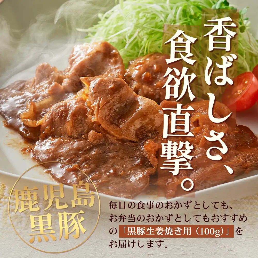 鹿児島県産 黒豚生姜焼き（100g×1パック） 味付き肉 冷凍 NS-20 | 鹿児島 黒豚 かごしま黒豚 お味見 お試し お一人様用 お肉 肉 豚肉 しょうが焼き 焼くだけ 味付き おかず お弁当 加工肉 真空パック 鹿児島県 南大隅町 南州農場