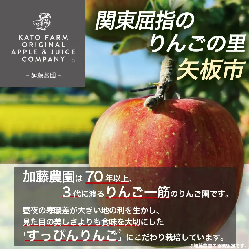 【ふるなびWEEK対象】樹上完熟・葉とらず・すっぴんりんご [ サンふじ ] 5kg 栃木県産