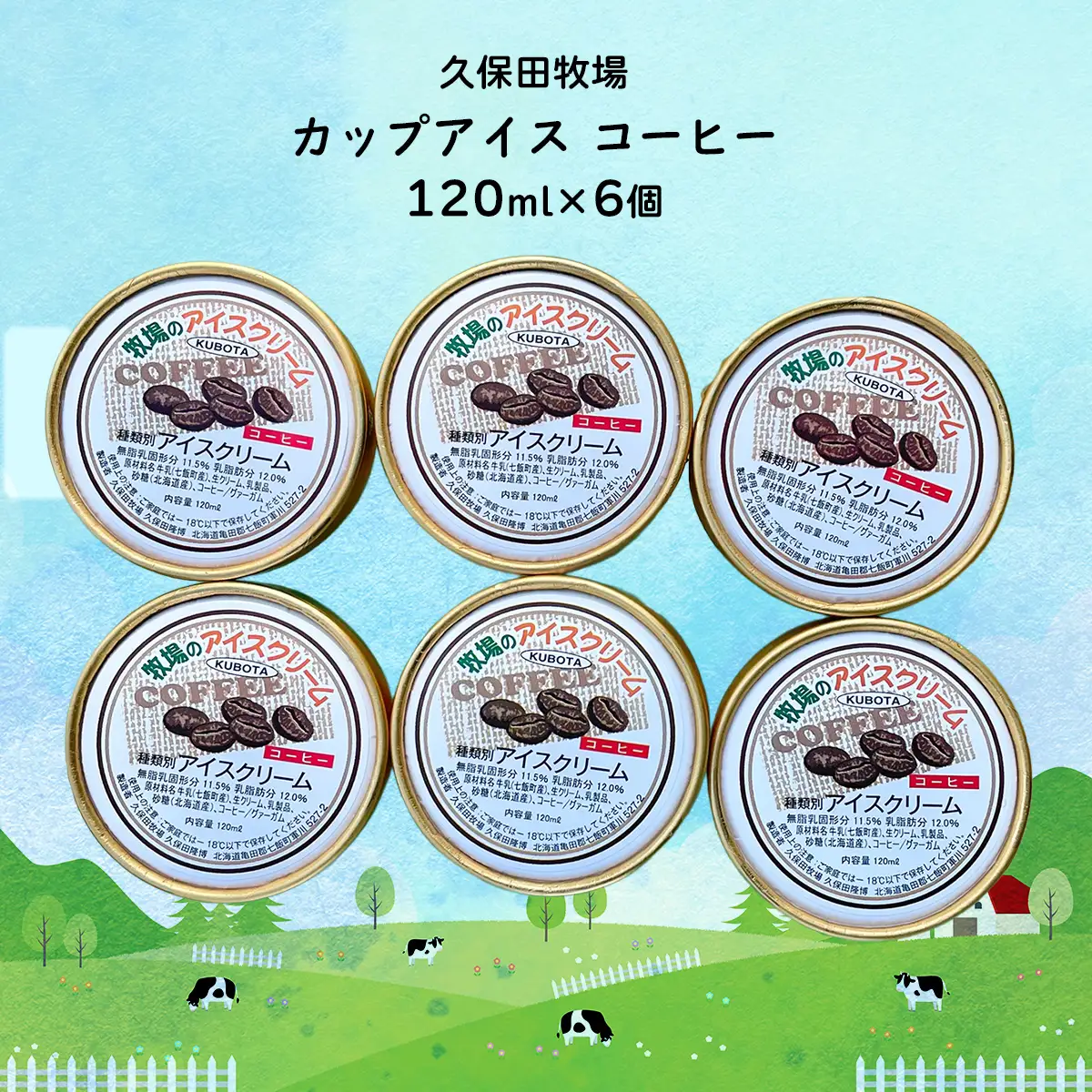 カップアイス　コーヒー 120ml×6個 NAP010