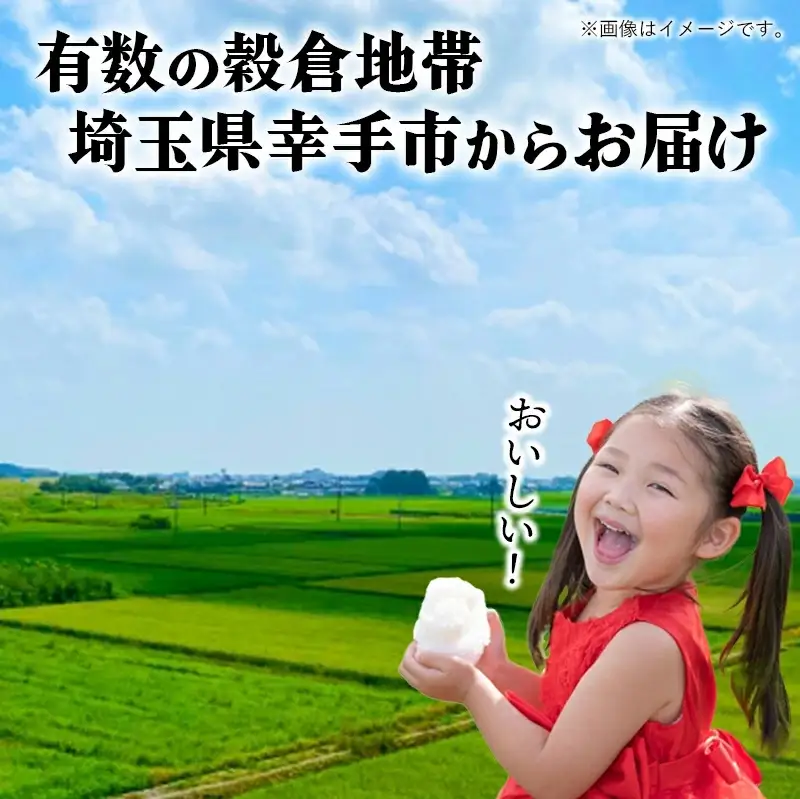 令和7年幸手産 こしひかり【玄米】5㎏×1袋 - コシヒカリ 玄米 5kg 令和7年産 埼玉県 幸手市 幸手市産