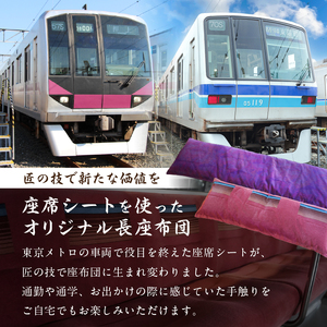 おうちでゆるっとメトロ（120×45cm・半蔵門線：紫色）【kt031-010-1】