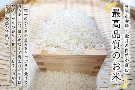 令和7年産 コシヒカリ 5kg 精米 色彩選別 こしひかり お米 白米 こめ 国産 ごはん ご飯 コメ 取り寄せ お弁当 弁当 おにぎり 茨城県 笠間市 いばらき JY-002