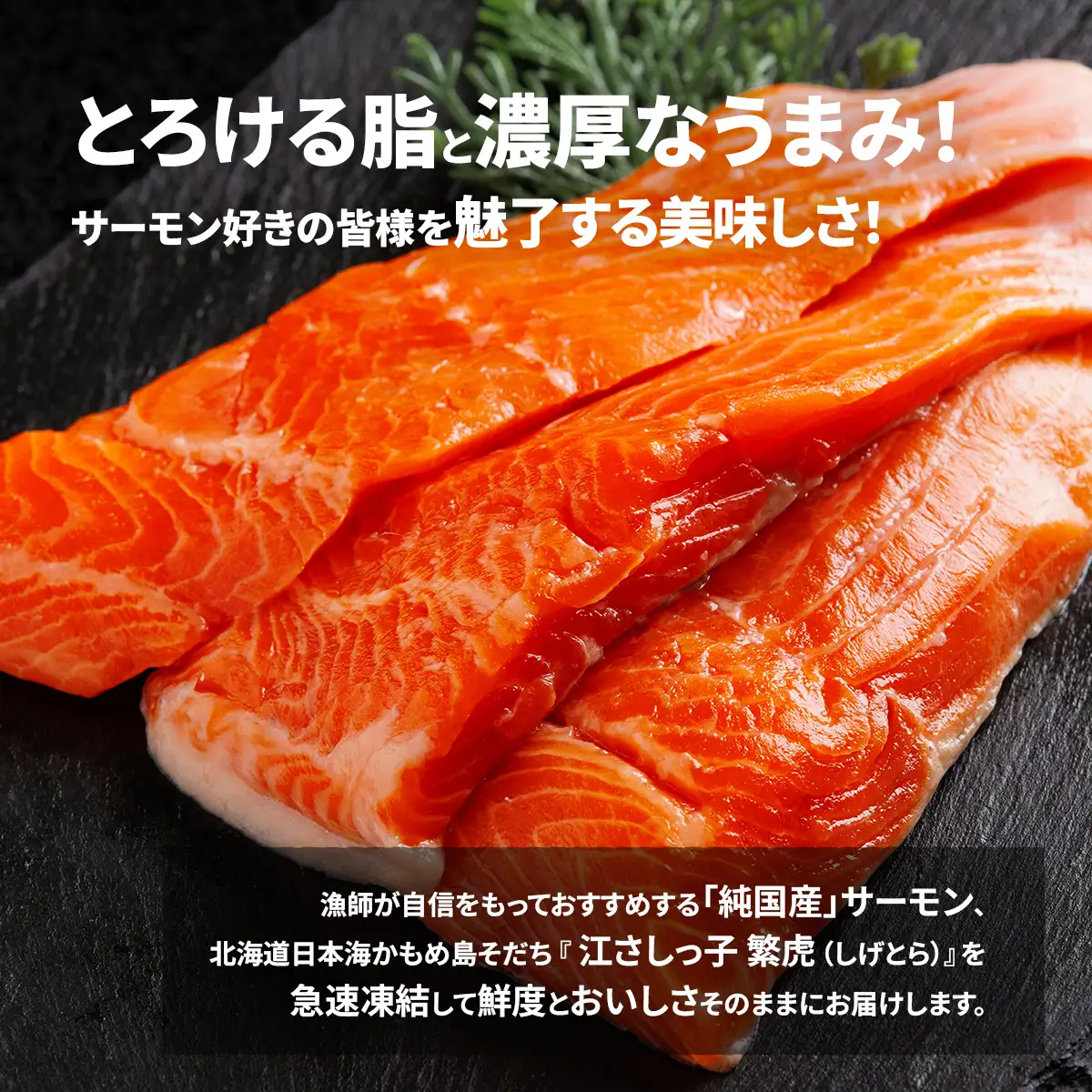 極☆凍結 北海道産 サーモン お刺身用ブロック 500g（90g～120ｇ×5P） HOKP005 | サーモン