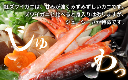 【先行予約】【12月発送】【数量・期間限定】福井県産 越前 紅ズワイガニ ×2杯【急速冷凍】（プロトン凍結）