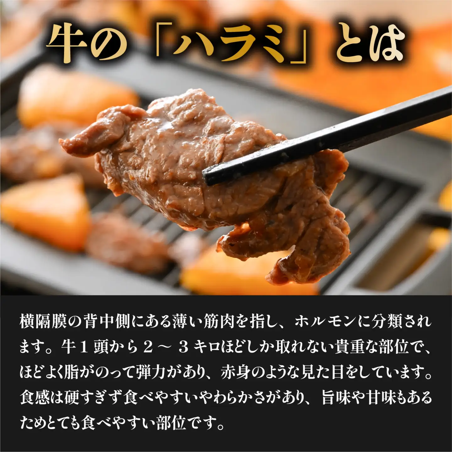 パイナップルハラミ（約250ｇ×2パック 計約500g） [A-066045] / 牛 牛肉 ハラミ 特製ダレ パイナップル 柔か 漬け込み 急速冷凍 焼肉 BBQ 福井市 送料無料