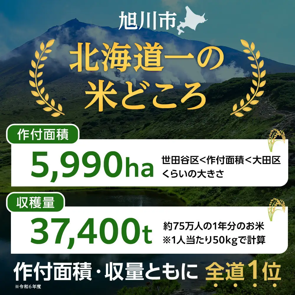 【6回定期便】白米 ゆめぴりか 5kg 北海道 旭川市 定期便 精米 ブランド米 _05403