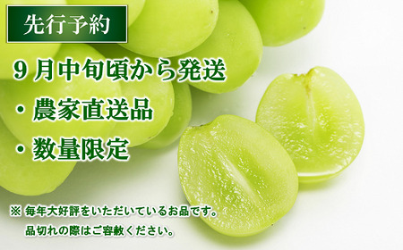 【令和8年産先行予約】 シャインマスカット 約2kg (3～4房 秀) 《令和8年9月中旬～発送》 『生産者おまかせ』 マスカット ぶどう 果物 フルーツ デザート 山形県 南陽市 [635-R8]