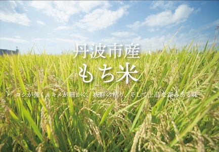 丹波ちまき 6個セット 〈丹波黒豆・角煮入り〉〈丹波市〉 ちまき 惣菜