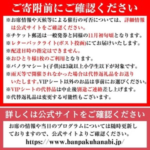 ＜パノラマシート(大人)：代替品B＞万博夜空がアートになる日2026 鑑賞チケット(2枚・2名様分) 体験チケット 利用券 花火 花火大会 音楽 万博 万博公園 万博記念公園 クーポン 【m62-03-2B】【ディヴォーション】