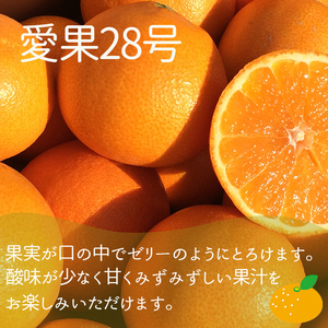 【2026年12月上旬頃から順次発送】【定期便 全3回】旬の愛媛三大高級柑橘 家庭用 【愛果28号 せとか 甘平】約2.5kg | 柑橘 みかん 果物 あいか 紅まどんな と同品種 くだもの フルーツ おすすめ 高級 人気 お取り寄せ グルメ ギフト 期間限定 数量限定 ご当地 愛媛県 松山市【SU013】