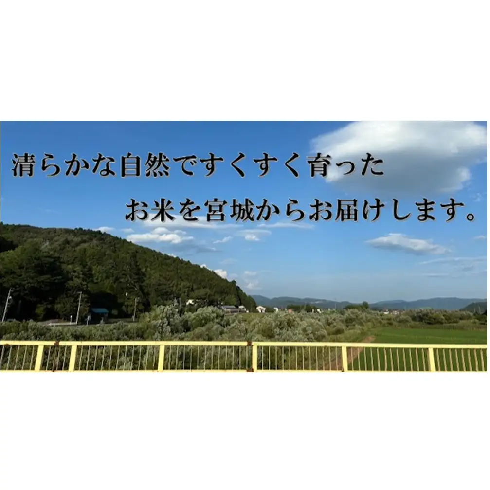 米 令和7年産 ササニシキ 精米 5kg お米 ごはん ご飯 飯 5キロ 単一銘柄米 主食 こめ コメ 家庭用 美味しい ブランド米 あっさり 食感 ささにしき おにぎり おかゆ 送料無料 宮城県 石巻 石巻市