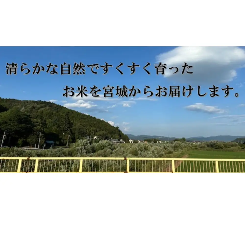 米 ひとめぼれ 玄米 30kg 令和7年産 ヒトメボレ お米 ごはん ご飯 30キロ 産地直送 米処 美味しい おこめ こめ さっぱり