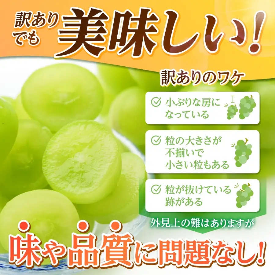 2026年発送 訳あり シャインマスカット 1.5kg （ 3～4房 ） フルーツ シャイン