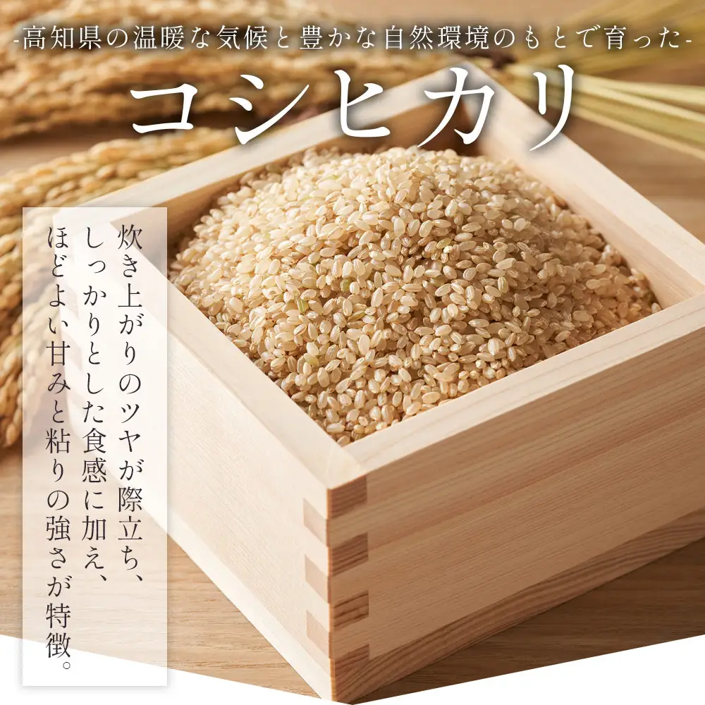 【 玄米 】特別栽培米 コシヒカリ 玄米 30kg 令和8年産 nu-0010