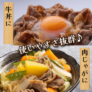 牛肉切り落とし 1kg 牛肉切り落とし