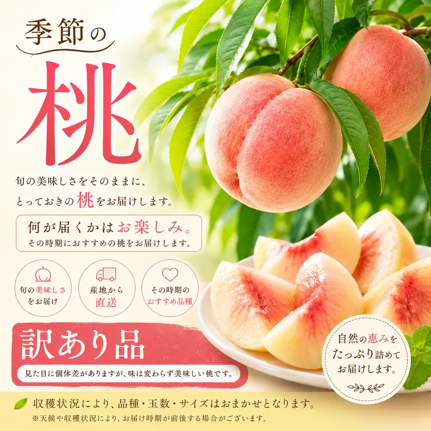 先行受付【訳あり】季節の桃 約3kg 2026年7月中旬～9月下旬発送予定［新規就農者応援コース 幸作会］［K-24］