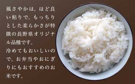 風さやか 白米  約5kg ［ おぶせファーマーズ ］ お米 コメ おこめ ご飯 精米 長野県産  ［FK-17］