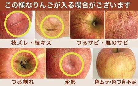 ［訳あり］  旬のりんご 約3kg 6～12玉 ［小布施屋］ 傷 規格外 不揃い 訳アリ 家庭用 りんご 林檎 リンゴ 果物 フルーツ 長野県産 信州産 特産 産地直送 産直 数量限定 先行予約 令和8年度産 【2026年11月配送】［A-304b］