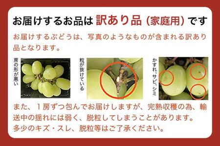 【訳あり】シャインマスカット 約1.2kg［小布施屋 令和8年産 【2026年9月中旬～11月下旬発送】 ［A-228］