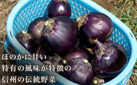 先行受付 小布施丸なす 約2.8kg 8～12個 ［小布施屋］ 茄子 ナス 信州 伝統野菜 やさい 長野県産 お取り寄せグルメ 食品 数量限定 期間限定 【2026年8月～10月上旬発送】 ［A-227］