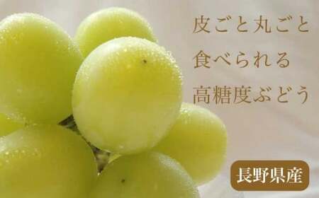 先行受付 シャインマスカット 約2kg 3～5房 2026年9月上旬～11月上旬発送［新規就農者応援コース 幸作会］｜ ぶどう 葡萄 ブドウ 生産者応援 果物 フルーツ［K-39］