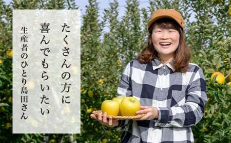  シナノゴールド 秀以上 約3kg 6～12玉 ［おぶせファーマーズ］ 果物 フルーツ りんご 林檎 リンゴ 長野県産 信州産 令和8年産 【2026年10月中旬～2027年1月上旬発送】［FH-83］