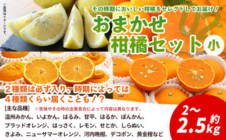 ＜西予の美味しい柑橘セレクト（ご家庭用）／おまかせ柑橘セット（小）約2～2.5kg＞ 果物 くだもの フルーツ 蜜柑 みかん ミカン 柑橘 ご家庭用 温州みかん 食べて応援 国産 愛媛県産 特産品 西予みかん倶楽部 愛媛県 西予市『1月に順次発送』【常温】OMC0011_01