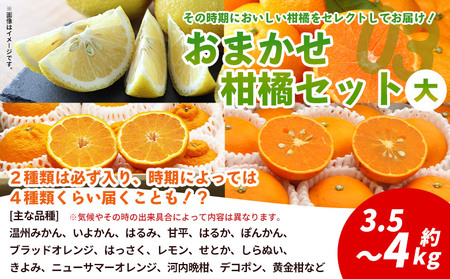 ＜西予の美味しい柑橘セレクト（ご家庭用）／おまかせ柑橘セット（大）約3.5～4kg＞ 果物 くだもの フルーツ 蜜柑 みかん ミカン 柑橘 ご家庭用 温州みかん 食べて応援 国産 愛媛県産 特産品 西予みかん倶楽部 愛媛県 西予市『3月に順次発送』【常温】OMC0012_03