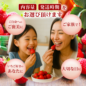 【2027年3月発送】 訳あり 福岡県産 あまおう 約285g×4P 約1.1kg いちご 苺 イチゴ 期間限定 ULU