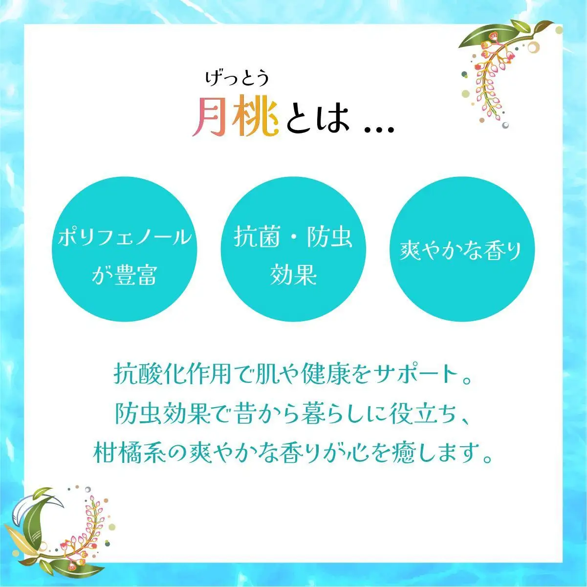 幸－美彩－さちちゅらいろ 月桃バーム（30g）OA-02
