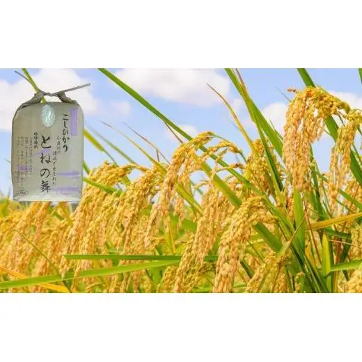 【6ヶ月定期便】《 令和7年産 》米 コシヒカリ 「 とねの舞 」 精米 5kg ／ 米 こめ コメ お米 おこめ コシヒカリ こしひかり とねの舞 白米 ごはん 令和7年産 5kg 定期便 茨城県 利根町 送料無料