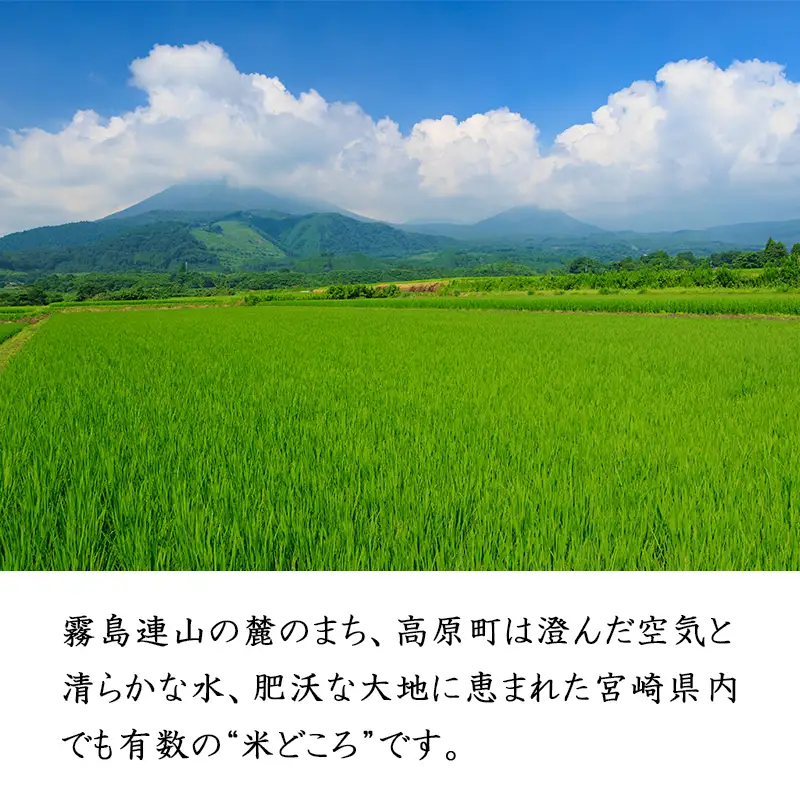 【令和8年産】宮崎県高原町産 ひのひかり白米 定期便10kg×3ヶ月（計30kg） TF00857-P00079