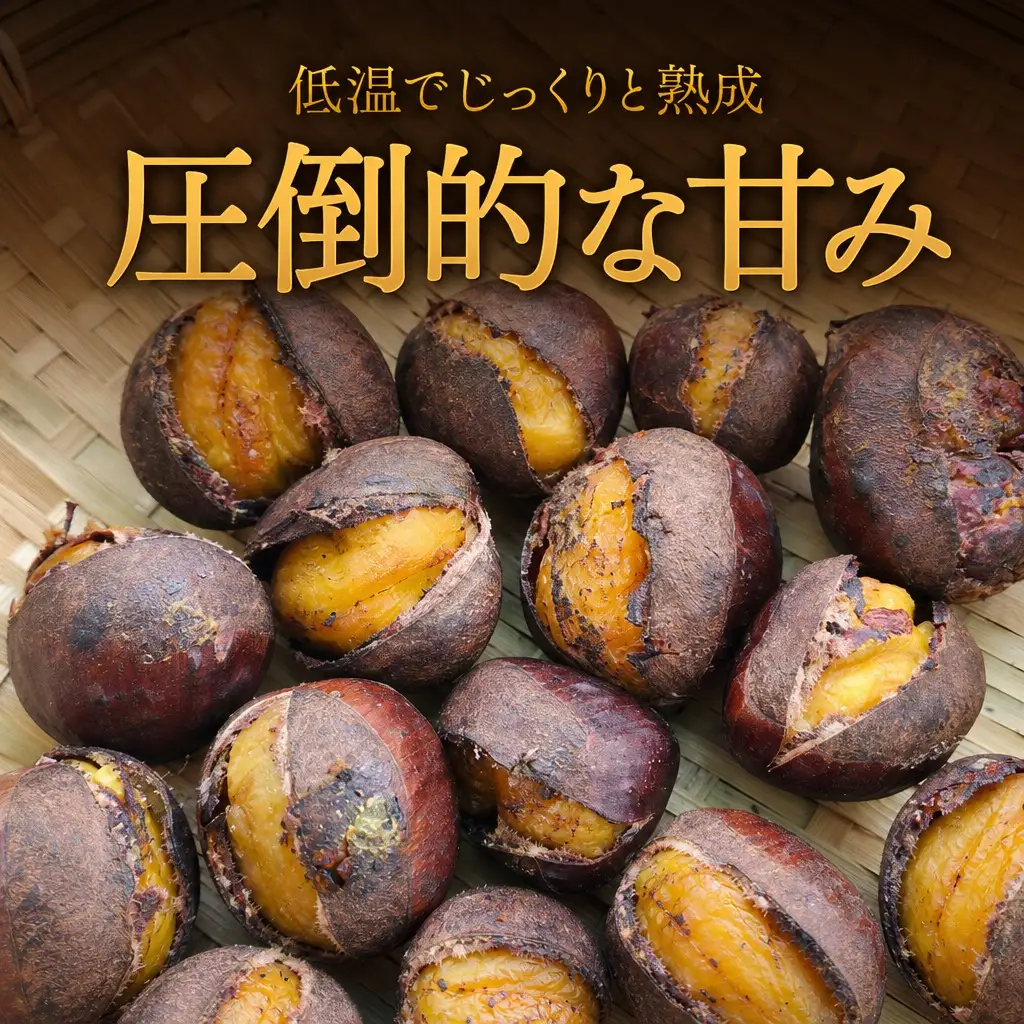 丹波焼き栗 400g（200g×2） / 有機栽培 国産 ギフト 綾部市 / 大畠ビオベルデ［BSDL003］