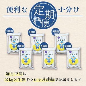 SE0562　【6回定期便】無洗米 はえぬき　2kg×6回(計12kg) SA