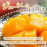 2L～3L マンゴー3～6玉（約2kg） KP-25