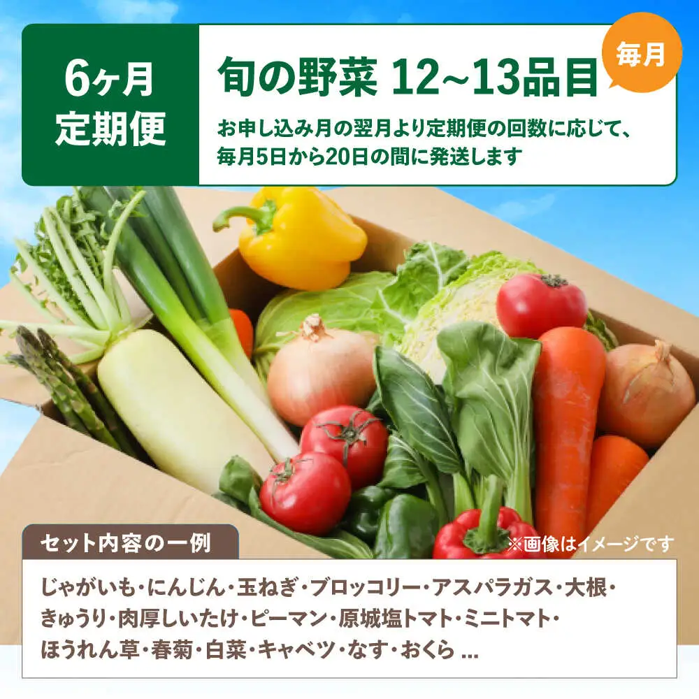 【6回定期便】野菜のプロが選ぶ 旬の野菜セット 12-13品目 野菜定期便 / 野菜 やさい セット 新鮮 / 南島原市 / 愛2農園[SGG003]