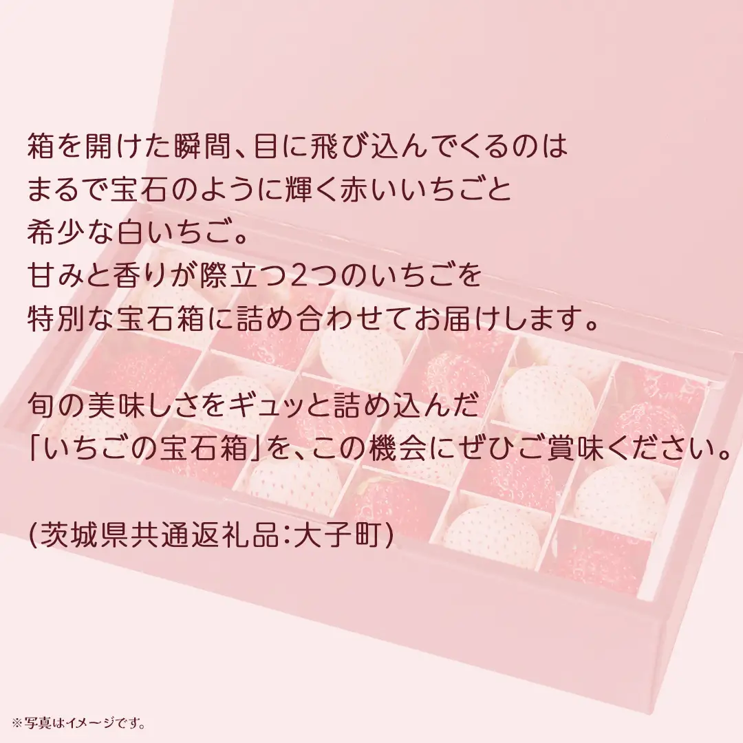 赤いちご と 白いちご の宝石箱18粒【2026年12月上旬発送開始】(茨城県共通返礼品：大子町) いちご 苺 果物 フルーツ 果実