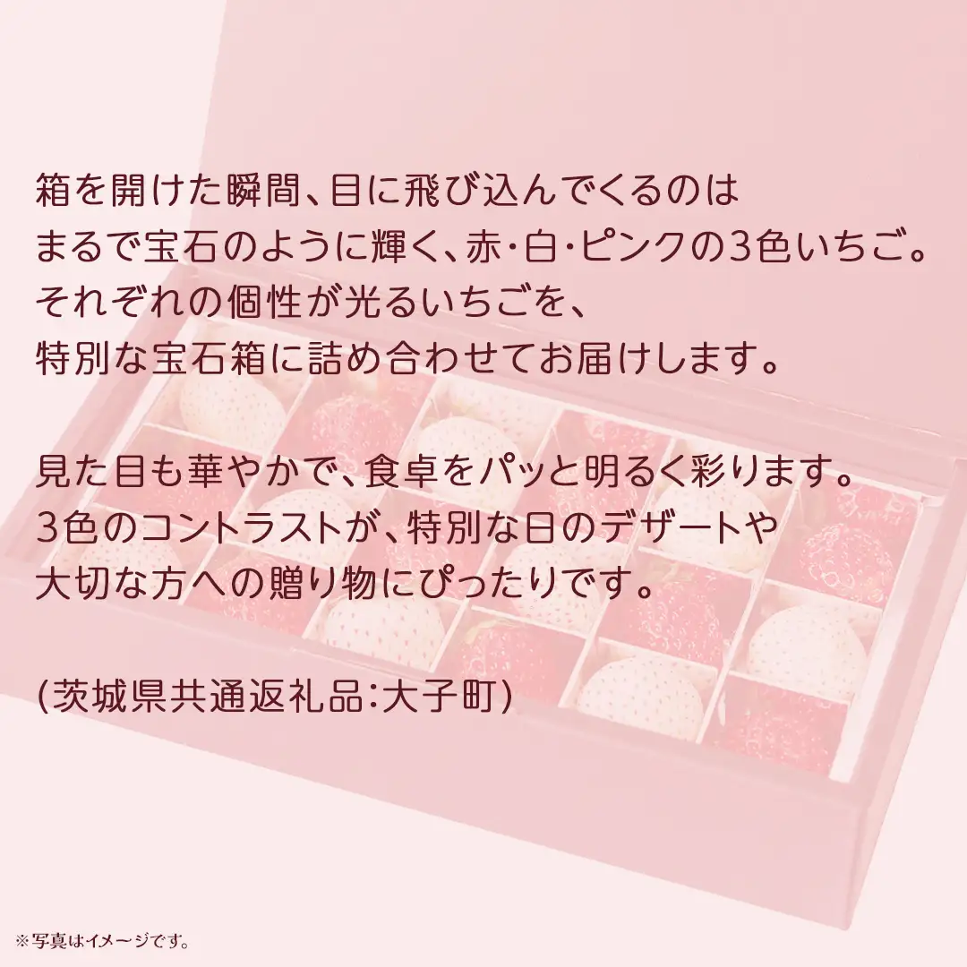 3色いちご の宝石箱18粒【2026年12月上旬発送開始】(茨城県共通返礼品：大子町) いちご 苺 果物 フルーツ 果実