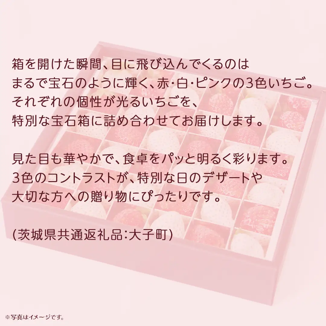 3色いちご の宝石箱36粒【2026年12月上旬発送開始】(茨城県共通返礼品：大子町) いちご 苺 果物 フルーツ 果実